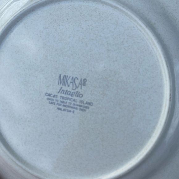 4pc Place Setting MIKASA Intaglio TROPICAL ISLAND CAC45 Dinner, Salad, Cup & Sau - Picture 8 of 13